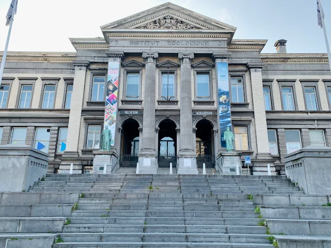 L&rsquo;Aquarium-Muséum Universitaire de Liège