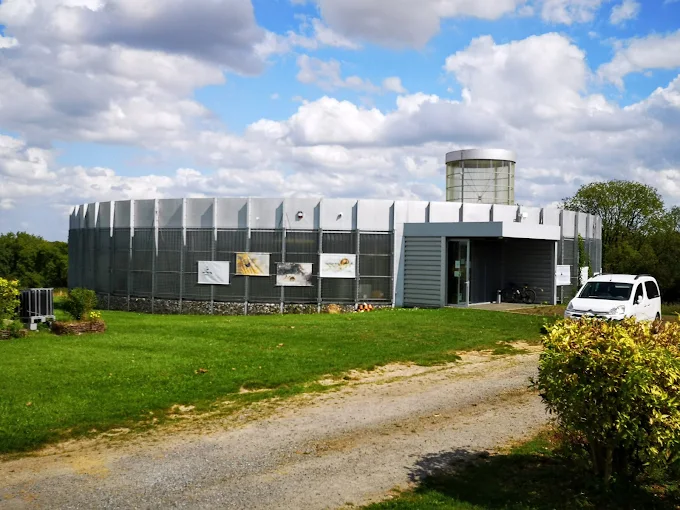 SILEX&rsquo;S Mons | Les minières néolithiques de silex de Spiennes