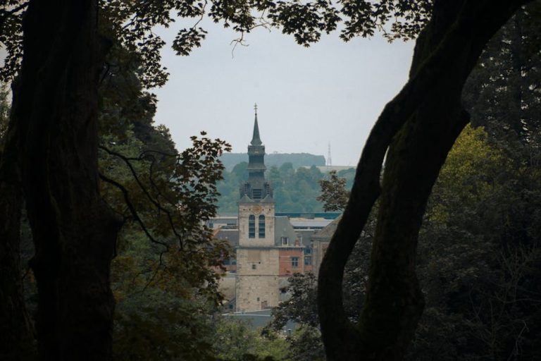 Les meilleurs sentiers de randonnée en Wallonie pour tous niveaux