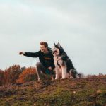 rando chien accepté wallonie
