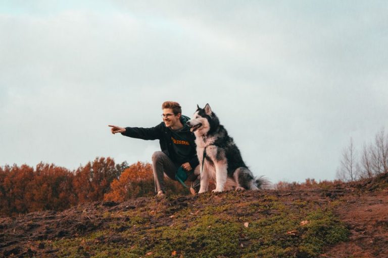 Rando chien accepté Wallonie : les meilleurs sentiers à découvrir