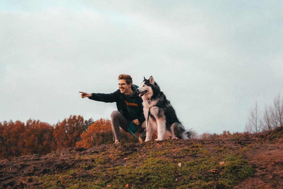 rando chien accepté wallonie